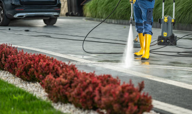 Best Residential Exterior Washing  in USA